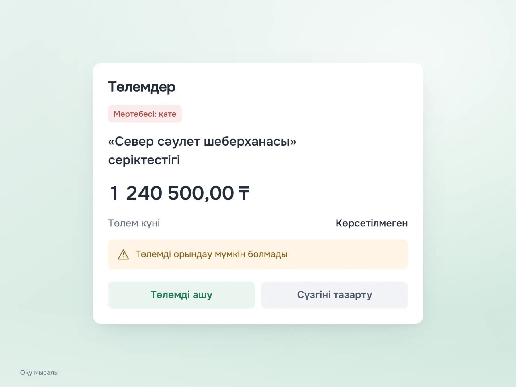 Шеткі мәндерді тексеру: алушының ұзын атауы бірнеше жолға бөлінеді, 1 240 500 теңге сомасы қиылмайды, күннің жоқтығы анық айтылған, төлем қатесі мен белсенді сүзгі көрініп тұр.