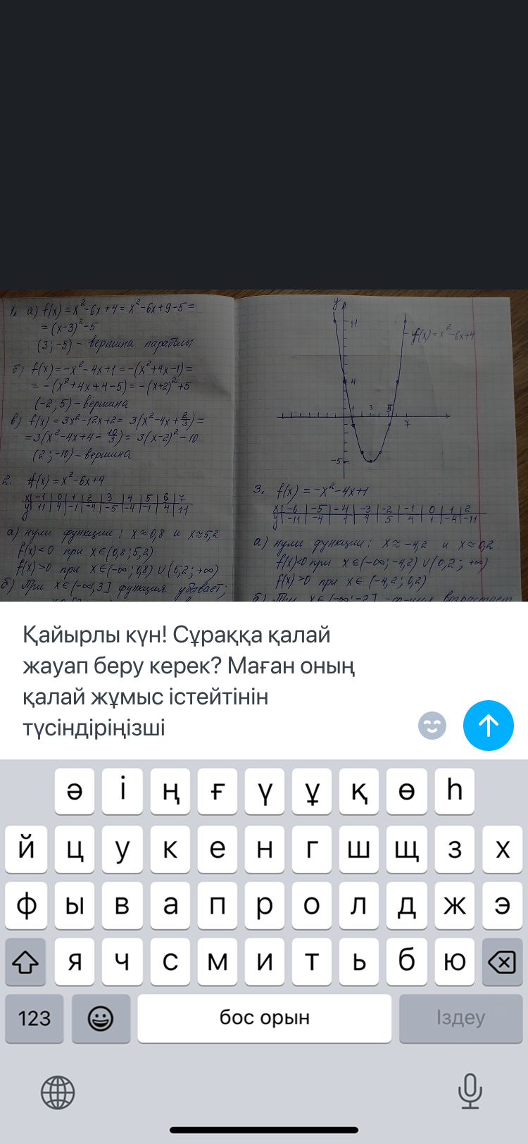 A specific question about the photograph, with the keyboard open and the message ready to send.